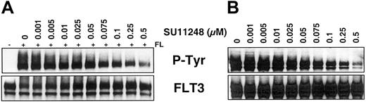 Fig. 1. SU11248 inhibits FLT3-WT and FLT3-ITD phosphorylation. / (A) RS4;11 and (B) MV4;11 cells were incubated with SU11248 at the indicated concentrations for 2 hours. For RS4;11 only, cells were stimulated for 5 minutes with FL (150 ng/mL). Lysates were prepared and immunoprecipitated with an anti-FLT3 antibody. After SDS-PAGE and transfer to nitrocellulose, the blots were probed with an antiphosphotyrosine antibody (top) and subsequently stripped and reprobed with an anti-FLT3 antibody (bottom). Similar results were obtained in at least 4 independent experiments.