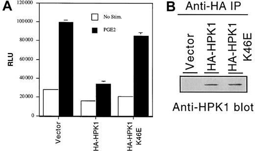Fig. 2. HPK1 inhibits PGE2-induced. / fos promoter activity. (A) Fospromoter–regulated relative luciferase activity from cells transfected with empty vector or HPK1 constructs. Transfectants were left untreated (■) or were stimulated with 10 nM PGE2 (▪) for 6 hours prior to cell harvest. Duplicate transfectants were lysed, and the lysates were tested for luciferase activity. Relative light unit (RLU) values were normalized with the Renilla luciferase values. Error bars indicate standard deviations. This histogram depicts an experiment that represents the trend observed in 4 of 5 experiments. (B) Western blot analysis revealing the expression levels of the transfected HA-HPK1.