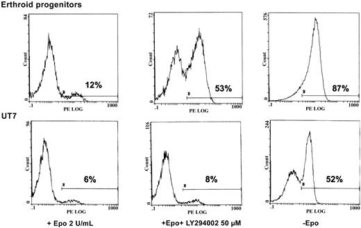 Fig. 7. LY294002 induces apoptosis in human erythroid progenitors but not in UT7 cells. / Inhibition of PI 3-K by LY294002 induces apoptosis in human erythroid progenitors but not in UT7 cells. D7 + 1 human erythroid progenitors and UT7 cells were plated at 105/mL with 2 U/mL Epo in the absence or presence of LY294002 at 50 μM. Four separate experiments were performed, giving similar results. Results are given for one experiment at 48 hours of incubation with the inhibitor. Controls were obtained from cells cultured in the absence of Epo. Apoptosis was quantified by flow cytometry analysis of the percentage of annexin-V+–PE+ cells from the whole population.