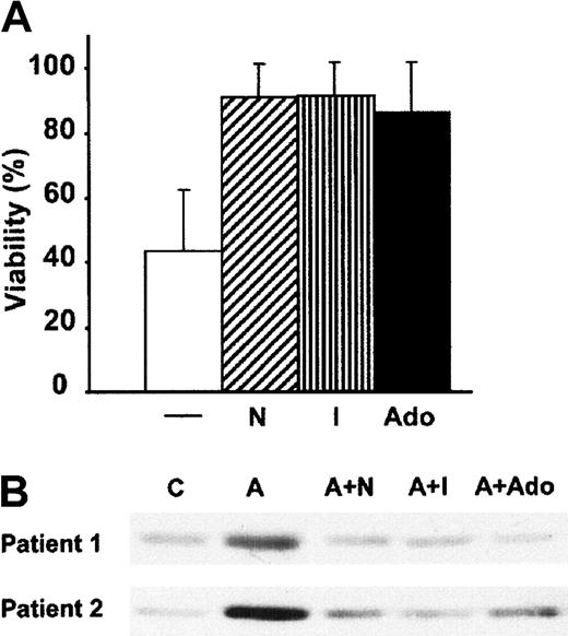 Fig. 3. NBTI, 5-iodotubercidin, and adenosine protect from acadesine-induced apoptosis and AMPK phosphorylation. / (A) B-CLL cells were incubated for 24 hours with 0.5 mM acadesine alone (−) or combined with 10 nM NBTI (N), 0.2 μM 5-iodotubercidin (I), or 0.5 mM adenosine (Ado). Viability was measured as described in “Patients, materials, and methods” and expressed as the percentage of the viability of nontreated cells. Data are shown as the mean value ± SD of 10 patients. (B) B-CLL cells were incubated with 0.5 mM acadesine (indicated as “A”) in the presence or absence of 10 nM NBTI, 0.2 μM 5-iodotubercidine, and 0.5 mM adenosine for 3 hours, and whole-cell extracts were analyzed by Western blot with an antibody against phospho-AMPK (Thr172).