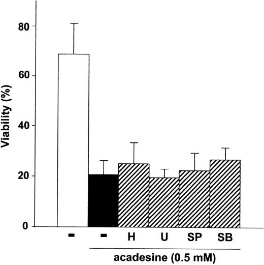 Fig. 4. Acadesine-induced apoptosis is independent of PKA, ERK, JNK, and p38 MAPK. / Cells from B-CLL patients were untreated or treated with 0.5 mM acadesine in the absence or presence of 5 μM H-89 (H), 10 μM SP 600125 (SP), 10 μM U0126 (U), or 10 μM SB 220025 (SB), for 24 hours. All inhibitors were preincubated for 1 hour before the addition of acadesine. Viability was measured as described in “Patients, materials, and methods.” Data are shown as the mean value ± SD of 5 patients.