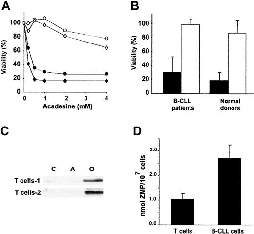 Fig. 6. Differential effect of acadesine on B and T cells. / (A) Dose-response of the cytotoxic effect of acadesine on B and T cells from B-CLL patients. Cells were incubated with a range of doses of acadesine (up to 4 mM) for 24 hours. Viability was measured as nonapoptotic CD3+/CD19− T cells (○,⋄) or CD3−/CD19+ B cells (●,♦) as described in “Patients, materials, and methods.” Two representative patients of 4 analyzed are shown. Viability is expressed as the percentage of the viability of nontreated cells. (B) Comparison between the induction of apoptosis in B and T cells (black bars and white bars, respectively) from B-CLL patients and healthy donors. Cells from 18 patients and 4 healthy donors were incubated with 0.5 mM acadesine for 24 hours. Viability is expressed as the mean value ± SD. (C) T cells from healthy donors were cultured with or without 0.5 mM acadesine for 3 hours and whole cell extracts were analyzed by Western blot with an antibody against phospho-AMPK (Thr172). As a control for AMPK activation, cells were incubated with 10 μM oligomycin for 3 hours in glucose-free medium. (D) Cells were cultured with or without 0.5 mM acadesine for 3 hours and intracellular levels of ZMP were measured by HPLC, as described in “Patients, materials, and methods.” Mean values ± SD from 5 B-CLL samples and 3 T-cell samples are shown.