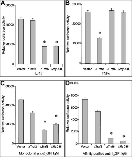 Fig. 2. Involvement of MyD88 pathway in EC activation induced by anti–β2-GPI antibodies. / Relative luciferase activity induced by IL-1β (50 U/mL), TNF-α (10 ng/mL), anti–β 2-GPI IgM moAb (100 μg/mL), or affinity-purified polyclonal anti–β2-GPI IgG (200 μg/mL) in cotransfected HMEC-1. Data are shown as mean ± SD of 3 different experiments. *P < .05 versus vector.