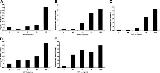 Fig. 3. MIP-1α induces migration of MM cells. / (A) MM1.S, (B) pat MM, (C) H929, (D) INA-6, and (E) OPM2 cell migration was measured using a modified Boyden chamber in the presence or absence of MIP-1α in media containing 0% FBS. MIP-1α (0.5, 5, 50, and 500 ng/mL) was added into the lower chamber, and cells migrated into the lower chamber were enumerated after 5 hours. Results were expressed in fold migration relative to control. These results are representative of 3 independent experiments.