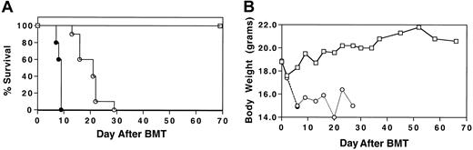 Fig. 1. Acceleration of GVHD-mediated mortality in the absence of donor MIP-1α. / Cy/TBI-conditioned B10.BR mice received transplants of C57BL/6 BM (■) plus either MIP-1α+/+ (○) or MIP-1α−/−(●) splenocytes. Recipients of MIP-1α−/− splenocytes had accelerated mortality compared with recipients of MIP-1α+/+ cells. (A) Survival. (B) Weights. Results shown are representative of 2 experiments (n = 10 per group;P < .0007).