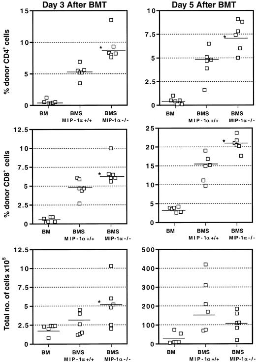Fig. 4. Acceleration of donor T-cell expansion in the spleens of recipients of MIP-1α−/− cells. / Expression of CD4, CD8, and donor haplotype H2bwas determined using flow cytometry and staining with FITC- and PE-labeled mAbs. Values for individual mice are shown and the mean for each group (n = 6, from 2 experiments) is indicated by a bar. “Total number of cells” refers to the total number of nucleated cells of donor or host origin. *P < .05 vs MIP-1α+/+ group.