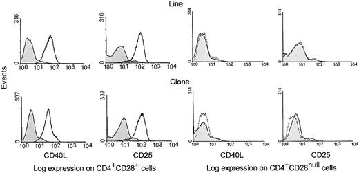 Fig. 6. Functionality of CD28 molecules induced on CD4+CD28null T-cell clones. / CD28 molecules induced on CD4+CD28null T-cell clones are functional. CD4+CD28null T-cell lines and clones were cultured with anti-CD3 mAb and IL-12 for 6 days to induce CD28 expression (Figure 4). Cells were then harvested and subsequently activated for 24 hours with anti-CD3 mAb or with anti-CD3 and anti-CD28 mAbs together. The cells were then analyzed by 4-color flow cytometry for the expression of the IL-2R α-chain (CD25) and CD40L. Histograms are shown for gated CD4+CD28+ and CD4+CD28null cell fractions; results are representative of 5 experiments with different T-cell clones and lines. Costimulation with anti-CD3 and anti-CD28 mAbs (solid line), but not with anti-CD3 mAb alone (dotted line), resulted in up-regulation of CD25 and CD40L expression on cells that re-expressed CD28; however, expression of CD25 and CD40L was not induced on cells that failed to express CD28. In all histograms, the shaded areas represent staining with an isotype control.