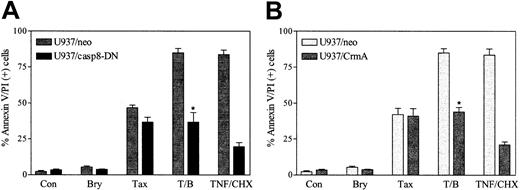 Fig. 5. Caspase-8 activation is critical for potentiation of paclitaxel lethality by bryostatin 1. / U937 cells ectopically expressing dominant-negative caspase-8 (U937/casp8-DN) and CrmA were treated with paclitaxel (5 nM) with or without bryostatin 1 (10 nM) or treated with TNF-α (1 ng/mL) plus CHX (1 μM) for 24 hours. Apoptotic cells were quantified by annexin V and PI positivity as described in “Materials and methods.” Results shown are representative of 3 experiments (means ± SE) employing several U937/casp8-DN and U937/CrmA clones. *Significant difference relative to empty-vector control cells (P < .01).