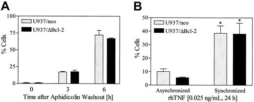 Fig. 11. Cells synchronized in G2M display enhanced susceptibility to TNF-α–induced lethality. / (A) U937/neo and U937/ΔBcl-2 cells were exposed to aphidicolin (100 ng/mL) for 24 hours, washed 3 times, and then resuspended in fresh medium. Cell cycle analysis was performed 3 and 6 hours following the washout. (B) At 6 hours after aphidicolin washout, synchronized and untreated (asynchronized) cells were exposed to TNF-α (0.025 ng/mL) for 24 hours. Apoptosis was determined by annexin V/PI positivity as described in “Materials and methods.” Values represent the means for 3 separate experiments (± SE). *Significant difference relative to asynchronous cells (P < .01).