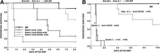 Fig. 5. OX40/OX40L regulation of GVHD lethality and Stat-4 or Stat-6 signaling. / The regulation of GVHD lethality by the OX40/OX40L pathway does not depend upon Stat-4 or Stat-6 signaling in donor T cells. B6.BR recipients (n = 8 per group) were lethally irradiated, reconstituted with BALB/c BM, and given either no supplemental splenocytes or splenocytes (25 × 106) from BALB/c or BALB/c Stat-4−/− (panel A) or BALB/c Stat-6−/−(panel B) donors. Cohorts of mice that received splenocytes were given either irrelevant, anti-OX40, or anti-OX40L mAb, as indicated. Anti-OX40L mAb infusion significantly reduced GVHD lethality. Conversely, anti-OX40 mAb significantly increased GVHD lethality in recipients of Stat-4−/− splenocytes.
