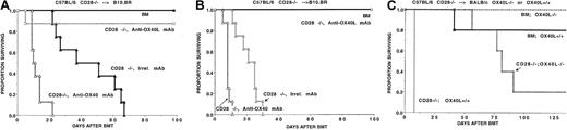 Fig. 6. Effect of blockade of the OX40/OX40L pathway on GVHD lethality in settings in which CD28 signaling is precluded. / Blockade of the OX40/OX40L pathway is effective in inhibiting GVHD lethality in settings in which CD28 signaling is precluded. (A-B) B10.BR recipients (n = 8 per group) were lethally irradiated and reconstituted with B6 BM, and cohorts were given C28−/−splenocytes at 15 × 106 (panel A) or 25 × 106 (panel B). Recipients given splenocytes also received either irrelevant, anti-OX40, or anti-OX40L mAb. Survival was significantly different in groups receiving irrelevant mAb versus groups receiving either anti-OX40 or anti-OX40L mAb. (C) BALB/c OX40L−/− mice or OX40L+/+littermate controls (n = 5 per group) were lethally irradiated, reconstituted with B6 WT BM, and given either no T cells or B6 CD28−/− T cells (3 × 106). OX40L−/− recipients had a significantly higher survival rate than OX40L+/+ recipients.