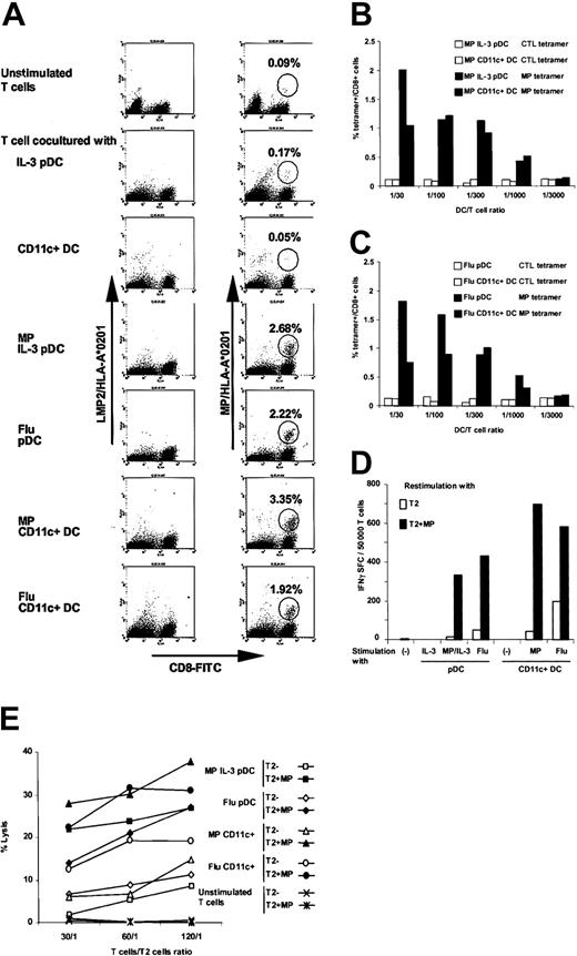 Fig. 5. Equivalent efficiency of pDCs and CD11c+ DCs to restimulate the HLA-A*0201–restricted influenza MP–specific CTL memory response. / T cells, pDCs, and CD11c+ DCs were purified from HLA-A*0201+ PBMCs. T cells were cocultured with pDCs or CD11c+ DCs infected by influenza virus or pulsed with influenza MP(58-66) peptide. (A) Then, 7 days later, the presence of HLA-A*0201–restricted MP-specific CD8+ T cells in the cocultures and in a frozen sample of unstimulated T cells was measured by staining with PE-conjugated tetrameric complexes of MP(58-66)/HLA-A*0201. A PE-conjugated tetrameric complex of LMP2/HLA-A*0201 was used as a control. (B) IL-3 pDCs or CD11c+ DCs pulsed with influenza MP(58-66)peptide were cocultured at 5 different DC/T-cell ratios. Then, 7 days later, the presence of HLA-A*0201–restricted MP-specific CTLs in the cultures was measured by tetramer staining. (C) pDCs or CD11c+ DCs infected by influenza were cocultured at 5 different DC/T-cell ratios. Then, 7 days later, the presence of HLA-A*0201–restricted MP-specific CTLs in the cultures was measured by tetramer staining. (D) Then, 7 days later, IFN-γ production by HLA-A*0201–restricted MP-specific CD8+ T cells in the cocultures and in a frozen sample of unstimulated T cells was assessed by IFN-γ ELISPOT using unpulsed or MP peptide–pulsed T2 as presenting cells. (E) Cytolytic activity of HLA-A*0201–restricted MP-specific CTLs in the cocultures and in a frozen sample of unstimulated T cells was assessed by 51Cr release assay using unpulsed or MP peptide–pulsed T2 cells as target cells.