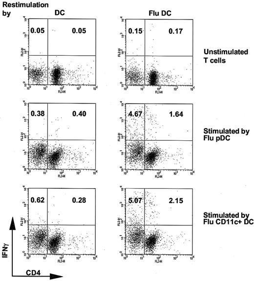 Fig. 6. Equivalent efficiency of influenza virus–infected pDCs and CD11c+ DCs to activate influenza A virus Aichi/68 memory CD4+ T-cell response. / T cells were cocultured with pDCs or CD11c+ DCs infected by influenza virus. After 7 days, T cells were restimulated by autologous monocyte-derived mature DCs infected or not with influenza virus in the presence of brefeldin-A. Production of IFN-γ by CD4+ T cells was assessed by intracytoplasmic staining and flow cytometry.
