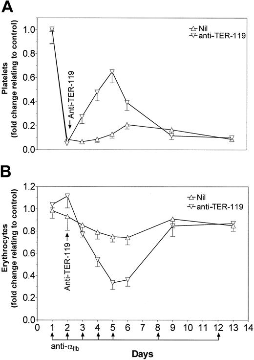 Fig. 5. Anti–TER-119 demonstrates prolonged protection from thrombocytopenia. / SCID mice were injected with 2 μg anti-αIIb antibody on days 1 to 5, day 8, and day 12. On day 2, thrombocytopenic mice were treated with 50 μg anti–TER-119. Mice were bled at the indicated time points. Platelet counts (A) and erythrocyte counts (B) are presented as fold change over untreated control mice; n = 6 for each data point. Nil indicates the mice were not treated with anti–TER-119. Error bars indicate SEM.