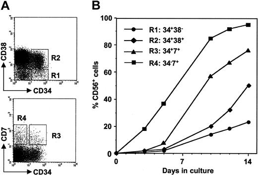 Figure 4. In vitro differentiation of human NK cells derived from FACS sorter-purified progenitor cells of NOD/SCID mouse BM. (A) Hematopoietic progenitor cells and NK precursor cells were identified in the BM of untreated NOD/SCID mice by staining with CD34/CD38 (top panel) and CD34/CD7 (bottom panel). Cells falling into the gates R1 (CD34+CD38-: 1.5% of total BM cells), R2 (CD34+CD38+: 12%), R3 (CD34+CD7+: 0.5%), and R4 (CD34-CD7+: 1.5%) were sorted and cultured for 14 days in NK differentiation medium (see “Materials and methods”). (B) The development of CD56+ NK cells in vitro was followed by FACS analysis at the indicated time points.