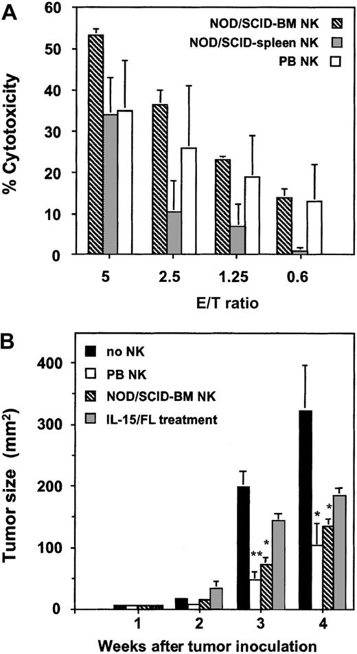 Figure 6. Cytotoxicity of NK cells from NOD/SCID mice. (A) NK cells were harvested after 28-day culture of NOD/SCID BM (n = 2, ▧) or spleen (n = 3, ▦) cells in the presence of IL-15, FL, and SCF. For comparison, NK cells were purified from human PB mononuclear cells (n = 2, □). Their cytotoxic activity was tested against the NK-sensitive K562 target cell line for 4 hours with an enzymatic LDH release assay. (B) NOD/SCID mice were injected subcutaneously with K562 cells (1 × 107) alone (▪) or 1 day later by NK cells (2-5 × 106) from human PB (□) or generated in vitro from NOD/SCID BM (▧). NOD/SCID mice that had undergone transplantation with CB CD34+ cells were injected with human IL-15 and FL for 7 days and were inoculated with K562 cells 1 day later (▦). Tumor size is expressed as mean ± SEM areas of 2 to 4 animals per treatment group. Significant differences compared with the group without NK cells are marked (*P < .05; **P < .005).