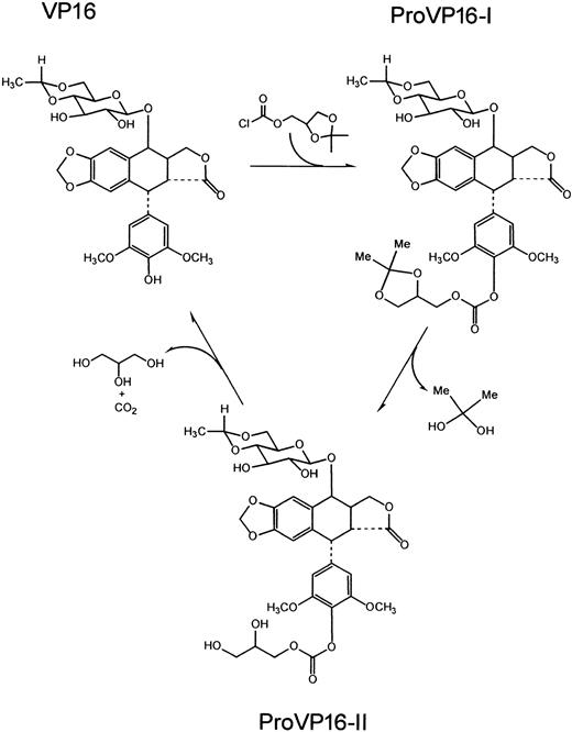 Figure 1. Scheme of synthesis and activation of ProVP16-I and -II. The synthesis of ProVP16-I involves the reaction of solketal chloroformate and VP16. ProVP16-II is synthesized from ProVP16-I by acid hydrolysis with the elimination of 2,2 dihydroxypropane. The activation of ProVP16-II to VP16 occurs with the elimination of glycerol and carbon dioxide.