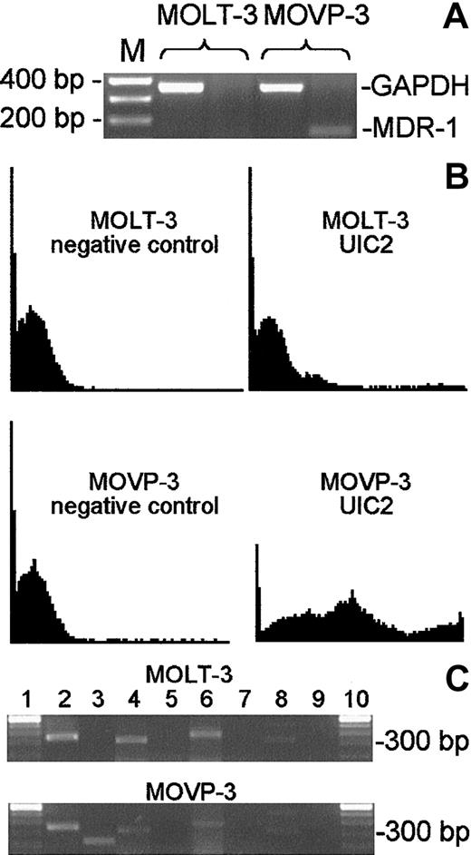 Figure 4. Characterization of multidrug-resistant MOVP-3 cells. The newly generated VP16-resistant MOVP-3 cell line was analyzed for MDR-1 gene expression (A) and MDR-1 protein expression on the cell surface (B). MDR-1 gene expression was determined by RT-PCR analysis on total RNA isolated from MOVP-3 and Molt-3 cells, respectively (A). Expression of GAPDH was used as a control for the integrity of the cDNA. MDR-1 protein expression on MOVP-3 cells was determined by FACS analysis using 1 μg UIC2 primary antibody per 106 cells and compared with Molt-3 parental cells (B). The gene expression of other resistance mechanisms was determined by RT-PCR (C). Results obtained with Molt-3 cells (top) were compared with MOVP-3 cells (bottom). Lane 1 indicates 100-bp marker; 2, GAPDH; 3, MDR-1; 4, MRP; 5, LRP; 6, bax; 7, Topo I; 8, Topo IIα; 9, Topo IIβ; and 10, 100-bp marker.