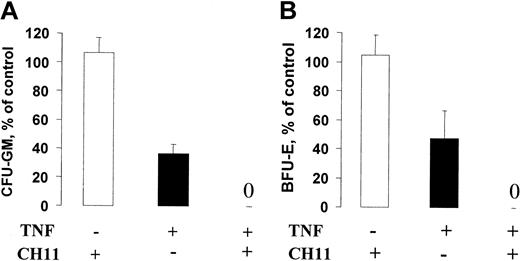 Figure 8. Fas activation potently abrogates the growth of CD34+ progenitor cells in the presence of TNF. CD34+ cells were expanded for 6 days in SF medium supplemented with SFT3 (“Materials and methods”) in the absence or presence of CH11 (1 μg/mL) and TNF (20 ng/mL) as indicated. After 6 days, cells were counted and plated at a concentration of 500 cells per milliliter in cytokine-supplemented methylcellulose (“Materials and methods”). After an additional 10 to 12 days of incubation, CFU-GM (A) and BFU-E (B) colonies were scored as described in “Materials and methods.” Results (averages of 3 experiments; 2 with CB and 1 with BM) are presented as percentages of controls (cells expanded in the presence of SFT3; error bars represent SEMs).
