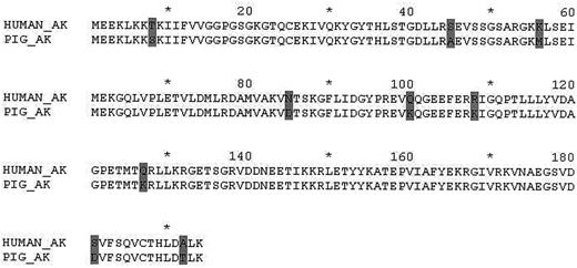 Figure 1. A comparison porcine and human AK. Numbers and asterisks indicate the consecutive sequence of amino acid residues: * (10, 30, 50, etc) and number (20, 40, 60, etc). Gray shaded areas indicate the amino acid differences between porcine and human AK.