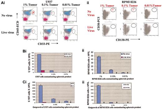 Figure 3. Purging effect of reovirus on U937 monocytic cells and RPMI 8226 myeloma cells. Admixtures of apheresis product cells and U937 monocytic cells (Ai,Bi,Ci) or RPMI 8226 cells (Aii,Bii,Cii) (1%, 0.1%, and 0.01%, respectively) were treated with reovirus (40 MOI). Following 3 days of purging, CD33+/CD45+ U937 cells or CD138+/CD38+ myeloma cells were assessed by flow cytometry. (A) Flow cytometric plots of purged and unpurged samples. (B) U937 and RPMI 8226 cell numbers in purged and unpurged samples. Arrows indicate the absence of live cells. (C) Lack of out growth of U937 (i) and RPMI 8226 cells (ii) in purged samples following 6 days of incubation. Arrows indicate the absence of regrowth of U937 or RPMI 8226 cells. Error bars represent the standard deviations of the means of 3 replicates.