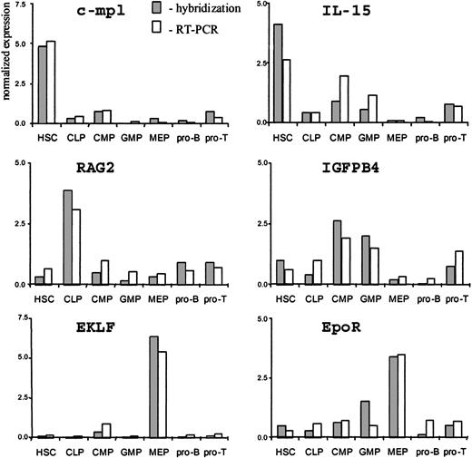Figure 5. Comparison of the direct RT-PCR analysis versus hybridization with Atlas cDNA array.