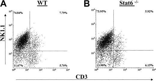 Figure 1. Distribution of NK cell populations in IL-2–cultured splenocytes from WT and Stat6-/-. Cells from WT mice (A) and Stat6-/- mice (B) were analyzed in parallel for distribution of the NK cell markers NK1.1 (A-B) and DX5 (C-D) and CD3. The data are representative of more than 3 separate experiments.