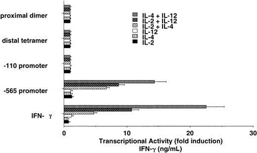 Figure 7. Human IFN-γ promoter regions potentially involved in IL-2 plus IL-4 and IL-2 plus IL-12 synergy. Cultured NK cells from IFN-γ promoter/luciferase transgenic mice display synergy on the intact -565 human IFN-γ promoter that closely reflects endogenous IFN-γ production (bottom). The data are representative of 2 separate experiments. Error bars indicate SD.