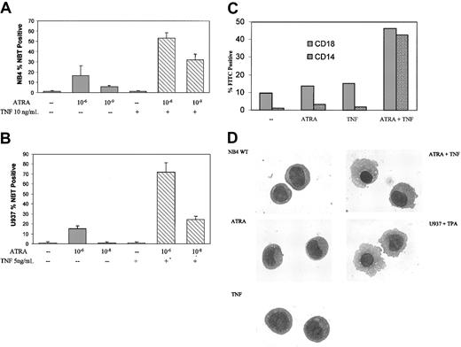 Figure 1. ATRA- and TNF-induced differentiation. Differentiation of NB4 cells in response to 3-day exposure to ATRA and TNF. Results are representative of 3 experiments performed in triplicate. (A-B) Results of NBT reduction assay performed on NB4 and U937 cells treated with ATRA and TNF for 3 days. Synergism in the number of NBT-positive cells could be observed at concentrations of 10-9 M ATRA in NB4 and 10-8 M ATRA in U937 cells. Error bars represent SD. (C) Cytofluorometric analysis of surface marker expression. Percentages of cells expressing the monocyte-specific CD14 and the myeloid-specific CD18 cell surface markers of differentiation were determined using monoclonal FITC-labeled antibodies. Results are representative of 1 of 3 experiments performed in triplicate. Standard errors were 5% or less. —indicates no treatment. (D) Morphologic analysis of representative NB4 cells treated with TNF and ATRA for 3 days. Cells were stained with Giemsa-Wright and were viewed at × 100 magnification. U937 cells were treated with 25 nM TPA for 24 hours as a control for monocyte/macrophage morphologic features.