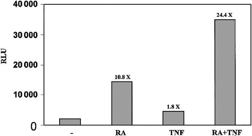 Figure 5. ATRA promotes transcription through NF-κB response element. NB4 cells were electroporated with Igk κB constructs and treated for 48 hours. The combination of TNF and ATRA gave a stronger induction of luciferase than did either agent alone. Results shown are representative of 3 experiments performed in triplicate. Standard errors are less than 2%. Numbers above the bars indicate fold induction.