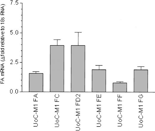 Figure 3. Fanconi anemia gene transcripts are not reduced in UoC-M1. QRT-PCR reactions were performed in at least triplicate. Error bars represent standard deviations. Fold values were obtained by externally standardizing against identical amplifications in Mo7e and by internally standardizing against 18S RNA in each cell line. Compared with Mo7e, UoC-M1 does not exhibit reduced levels of mRNA for FANCA, FANCC, FANCD2, FANCE, and FANCG. An approximate 2-fold reduction in FANCF was observed. This finding was attributed to monosomy 11p in UoC-M1,10 as FANCF is encoded on chromosome 11.27