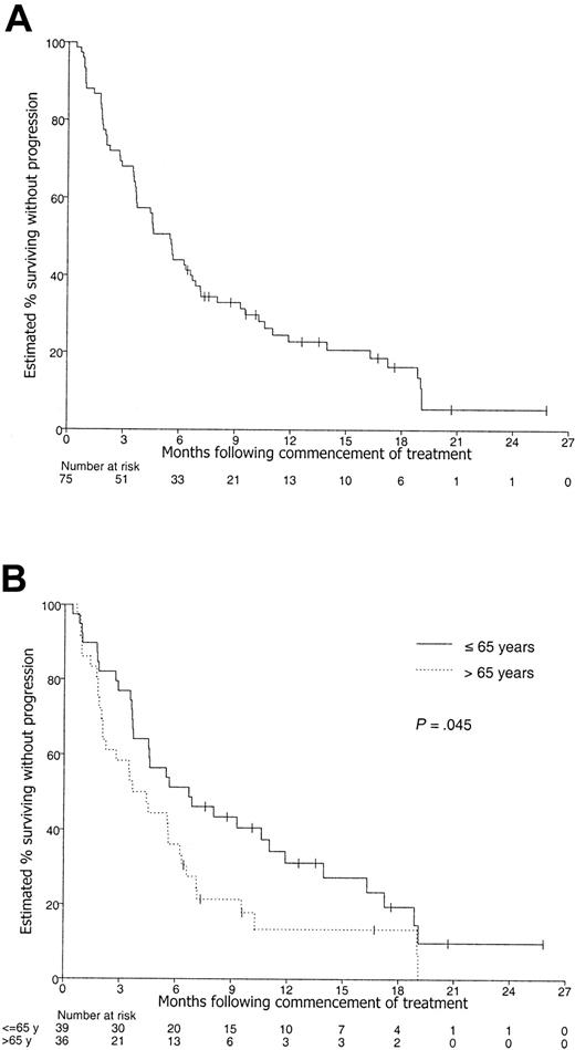 Figure 3. Kaplan-Meier curve of progression-free survival. Patients with censored PFS times are shown by tick marks. (A) All 75 patients. (B) According to age group.