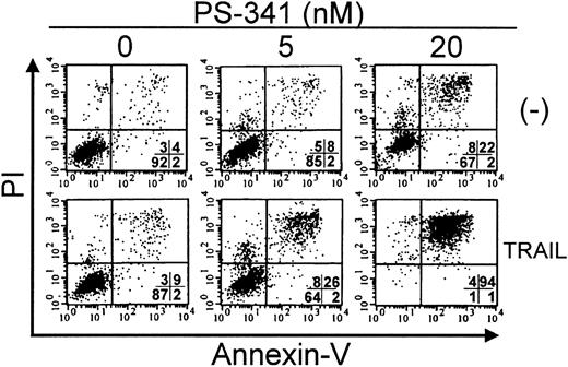 Figure 2. Apoptosis of C1498 cells in response to PS-341 plus TRAIL. C1498 cells were incubated with PS-341 at 0, 5 nM, or 20 nM for 2 hours prior to the addition of TRAIL (500 ng/mL). After a further 16 hours, cell death was estimated by FACS analysis after Annexin V and propidium iodide staining as described in “Materials and methods.” Percentage of cells in each quadrant is shown. Viable cells are in lower left quadrant.