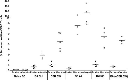 Figure 2. HYDb Uty tetramer analysis of peripheral T cells from naive and multiparous mice. Filled squares (▪) indicate ex vivo; open squares (□), following in vitro restimulation with syngeneic male cells. Splenocytes were from naive B6, multiparous B6.EiJ, C3H.SW/SnJ, B6.HLA-A2, HW80, and B6.EiJ females mated with C3H.SW/SnJ males. In addition, spleen cells from a group of skin-grafted B6.HLA-A2 were stimulated in vitro for 7 days and analyzed for HYDbUty-specific T cells (▵). In each case the percentage of HYDbUty CD8+ T cells was assessed using MHC class I tetramers. Bars indicate means.