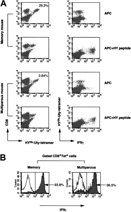 Figure 4. Functional assessment of tetramer-positive cells from multiparous and memory mice. (A) Spleen cells from memory B6 mice that had rejected male skin grafts, and from multiparous B6 mice, were stimulated with irradiated syngeneic male spleen cells plus IL-2 for 7 days. The cells were analyzed for IFNγ production by intracellular staining, as described in detail in “Materials and methods.” In brief, after removing the dead cells, the viable cells were restimulated with unpulsed APCs or with HY peptide—pulsed APCs for 2 hours in the presence of monensin. After harvesting, the cells were stained with anti-CD4, anti-CD8, and HYDbUty tetramer. After fixation and permeabilization, the cells were stained with anti-IFNγ prior to flow cytometric analysis. Representative results are shown from a memory and a multiparous mouse. The percentages shown in 2 of the panels in the left column indicate tetramer-positive cells within the CD8+ T-cell populations of each mouse. (B) IFNγ production by gated CD8+ tetramer+ T cells is represented as histograms (filled, APC+HY peptide; unfilled, APCs alone). The percentage represents the frequency of IFNγ-producing cells within the gated tetramer+ CD8+ T-cell population.