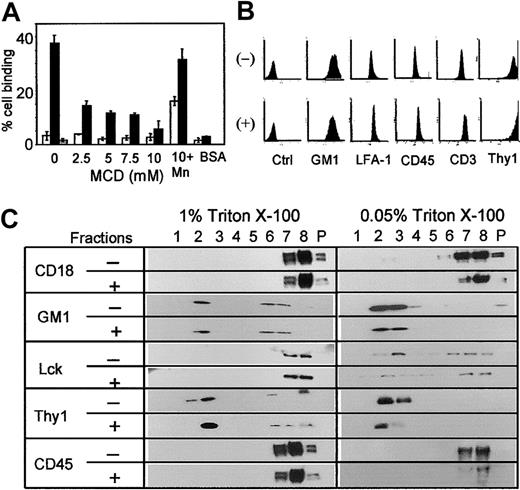 Figure 2. Effects of MCD treatment on primary T cells. (A) Purified splenic T cells (> 98% CD3+) were treated with the indicated concentrations of MCD, and their adhesion to immobilized ICAM-1 was analyzed as in Figure 1A. Open bars represent no PMA stimulation, solid bars represent PMA-stimulated (50 ng/mL) cells, and gray bar represents PMA stimulation with anti–LFA-1 blocking antibody (TIB213). Cells treated with 10 mM MCD and 2 mM MnCl2 (10 + Mn) were included. BSA instead of ICAM-1 was used as a control. The results are representative of 4 independent experiments, each done in triplicate. Error bars indicate SD. (B) Purified splenic T cells treated (+) or not (-) with 10 mM MCD were stained for the indicated cell-surface molecules and analyzed by flow cytometer as in Figure 1B. (C) Splenic T cells were treated with (+) or without (-) 10 mM MCD, lysed with 1% or 0.05% Triton X-100, subjected to sucrose gradient centrifugation, and indicated molecules in each fraction were detected by Western blotting as in Figure 1D.