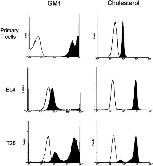 Figure 5. Comparison of levels of GM1 and cholesterol in the plasma membrane of splenic T cells and T-cell lines. Splenic T cells, EL4, and T28 cell lines were stained with FITC-CTxB that binds to GM1 or with filipin (12.5 μg/mL) that binds to cholesterol and analyzed by flow cytometer. The machine setting for the fluorescence detection was the same for all the cell types to allow direct comparison of the expression levels. Open histograms show fluorescence of unstained cells and filled histograms show those of stained cells. The results are representative of 3 independent experiments.