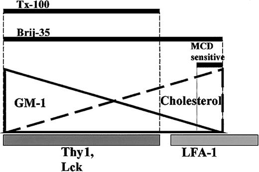 Figure 8. A model for lipid raft heterogeneity in primary T cells. The solid line represents GM1 content of lipid rafts, and the thick dashed line represents cholesterol content. Thy1 and Lck localize in GM1-rich lipid rafts (darker gray bar), while LFA-1 partially localizes in cholesterol-rich rafts (lighter gray bar). Thick black bars represent lipid raft insolubility in Triton X-100 (1% and 0.05%) and Brij 35 (1%). MCD sensitive bar shows the portion of lipid rafts that is insoluble in 1% Brij 35 and sensitive to MCD treatment.