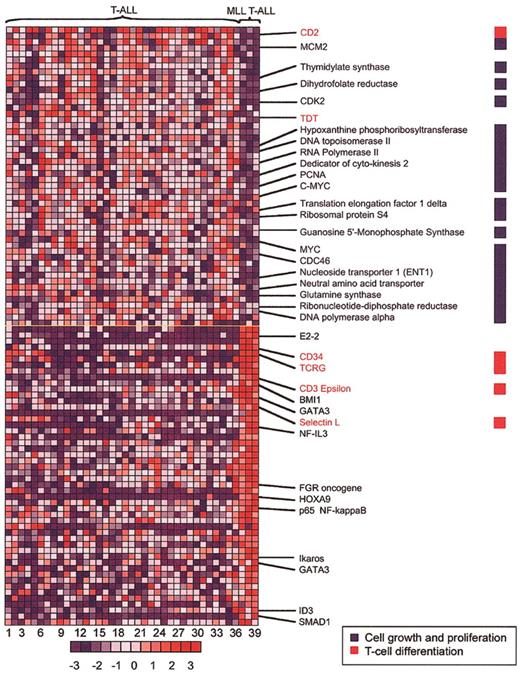 Figure 2. MLL-ENL —associated genes in T-ALL. The 100 genes most closely associated with MLL-ENL expression—either up-regulated (red) or down-regulated (blue)—are shown, based on a nearest-neighbor analysis. Each column represents a sample and each row, a gene. Numbers at the bottom indicate sample order (sample order is preserved in Figures 4, 5, and 6, and in Table S1 of the supplemental material). Normalized expression values are represented by colors (red, levels greater than the mean; blue, levels lower than the mean). The bar at the bottom shows the correlation between shifts in color and differences in gene expression, from - 3 to + 3 standard deviations. The full list of the top 100 genes positively and negatively associated with the MLL T-ALL category is included as Table S3 in the supplemental material.