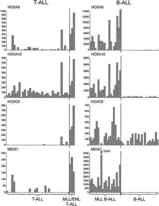 Figure 4. Up-regulation of HOX genes in MLL-rearranged T- and B-lineage ALLs. Absolute fluorescence values for a subset of HOX genes and the HOX gene cofactor MEIS1, indicating consistent up-regulation in cases with MLL fusions, regardless of cell lineage.