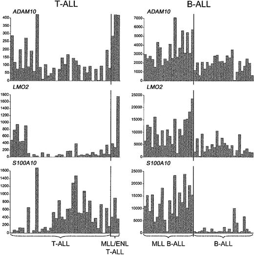 Figure 5. Up-regulation of representative non- HOX genes in MLL-rearranged T- and B-lineage ALLs. A subset of genes other than HOX family members are up-regulated in both B- and T-ALLs with MLL translocations, as illustrated by the absolute fluorescence values of ADAM10, LMO2, and S100A10.