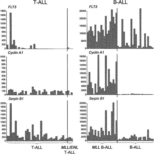 Figure 6. Expression of FLT3 and myeloid differentiation markers in T- and B-ALLs with MLL translocations. In contrast to the specific expression of FLT3 and other myeloid genes in MLL-rearranged B-ALLs, FLT3, Cyclin A1, and Serpin B1 were not up-regulated in MLL T-ALLs. A single, MLL-ENL—negative T-ALL case harboring an activating FLT3 internal tandem duplication expressed high levels of FLT3, Serpin B1, and other myeloid genes (Figure S3, supplemental material). Gene expression is reported in absolute fluorescence units.