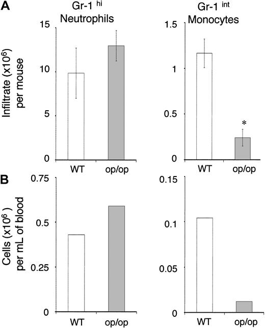 Figure 4. Reduction of 7/4+Gr-1int cells in M-CSF–deficient op/op mice. 7/4+Gr-1hi neutrophils and 7/4+Gr-1int monocytes (A) in 6 hours peritoneal inflammation and (B) in pooled peripheral blood. Data shown are representative of 2 experiments (*P ≤ .01; mean of 3 mice per group, ± SEM).