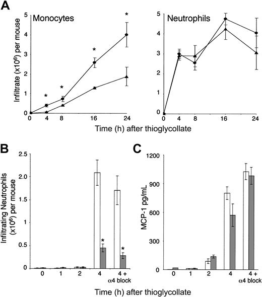 Figure 6. MCP-1 is critical for early monocyte recruitment and is unaffected by deficient neutrophil recruitment. (A) Time course of cell migration in MCP-1+/+ (•) and MCP-1-/- (▴) mice; MCP-1+/+ and MCP-1-/- infiltrating cells were compared at each time point (*P ≤ .05). (B) Reduced neutrophil infiltration in LFA-1-/- () compared with LFA-1+/+ (□) mice, and further reduction with anti-α4 mAb PS2/3, LFA-1+/+, and LFA-1-/- infiltrating cells were compared at each time point (*P ≤ .001). (C) MCP-1 levels in peritoneal lavage of mice (panel B) with blocked neutrophil migration; LFA-1+/+ and LFA-1-/- lavages were compared at each time point (P ≥ .05 for all time points). Data shown are representative of 2 or more experiments (means of 4-5 mice per group ±, SEM).
