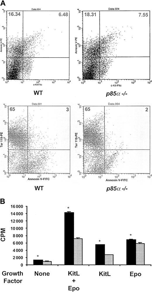 Figure 2. Apoptosis and proliferation of wild-type and p85α-/- c-kit+ fetal liver cells. (A) Apoptosis of wild-type and p85α-/- c-kit+ or ter119+ day-14.5 fetal liver cells. Freshly isolated fetal liver cells were stained with either annexin V–PE or c-kit–FITC antibodies to identify the percentage of c-kit+ cells (top row) or annexin V–FITC and ter119-PE antibodies (bottom row) to identify the percentage of ter119+ cells undergoing apoptosis by fluorescence cytometry in vivo. The numbers in each quadrant represent the percentage of total cells in that quadrant. A representative dot plot for each genotype is shown. Four other experiments showed similar results. (B) Proliferation of wild-type (▦) and p85α-/- (▨) c-kit+ day-14.5 fetal liver cells in response to no growth factors, Epo and KitL in combination, or alone. Freshly isolated c-kit+ fetal liver cells were plated in 96-well plates in replicates of 6 in the presence of 5% fetal calf serum with no additional growth factors or 10 ng/mL KitL and 5 U/mL Epo in combination or alone. After 48 hours of culture, cells were pulsed with tritiated thymidine and harvested 16 hours later for measurement of β emission. Results represent the mean thymidine incorporation ± SEM of 5 independent experiments. *P < .05 by Student paired t test.