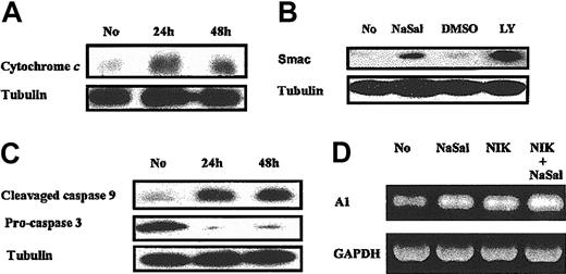 Figure 2. NaSal treatment results in release of cytochrome c and Smac and caspase activation, but not the reduction of A1. (A-B) Monocyte-differentiated macrophages were treated with NaSal (20 mM) or LY294002 (50 μM) for indicated periods in panel A and for 48 hours in panel B, then cytosolic fraction of cells were used for Western blot assay using anti—cytochrome c antibody and anti-Smac antibody. (C) Macrophages were treated with NaSal (20 mM) for 24 or 48 hours. Cell lysates were collected and Western blot assays were conducted using the indicated antibodies. (D) Macrophages were infected with adenoviral vector (AdNIK, 100 moi) expressing NR-κB—inducing kinase for 24 hours as described in “Materials and methods.” Then cells were treated with NaSal at 20 mM for another 24 hours. Cells were harvested and total RNA was extracted for RT-PCR using human A1 and GAPDH-specific primers as was previously described by us.20 No indicates normal macrophages without NaSal treatment.