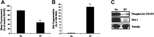 Figure 6. H7, an inhibitor of serine kinases, induces apoptosis and the reduction of activated STAT3 and Mcl-1 expression in macrophages. (A-B) Macrophages were treated with H7 (50 μM) for 24 hours. The cells were collected and analyzed for mitochondrial integrity by Rh123 retention (mean fluorescence, % control, panel A), and apoptosis defined by DNA fragmentation (% < 2N DNA, panel B). ** indicates P < .01 determined by Student t test for paired samples compared with control. The results (mean ± 1 SE) of a single experiment, performed in triplicate, are presented, which are representative of 2 experiments. (C) H7 treatment inhibits STAT3 Ser727 phosphorylation (Phospho-Ser STAT3) and Mcl-1 expression in primary macrophages. Macrophages were treated with H7 (50 μM) for 24 hours. Cells were harvested for Western blot analysis, probing with antibodies to Ser727-phosphorylated STAT3 and to Mcl-1.