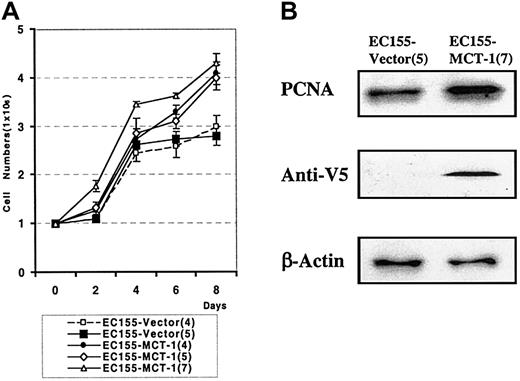 Figure 6. MCT-1 overexpression increases the growth rate of lymphoid cells.(A) EC155-Vector or EC155—MCT-1 cells were seeded at 0.5 × 106 cells/mL in triplicate T-25 flasks. Cells were counted every other day by using the trypan blue exclusion method for 8 days. The growth curve demonstrated the significantly increased growth rate in EC155—MCT-1 clones. Data were derived from 3 independent experiments with each clone. Error bars denote mean ± SD. (B) The EC155—MCT-1 cells showed a marked increase in PCNA level.
