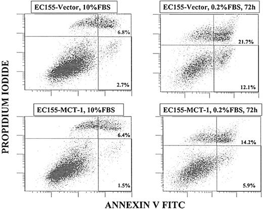 Figure 8. MCT-1 protein protects against apoptosis. Annexin V binding assay by flow cytometry was performed to compare cell apoptosis induction in EC155-Vector5and EC155—MCT-17 cell lines. After 72 hours of serum starvation, total annexin V-positive cells of the EC155—MCT-17 line was significantly less than that of EC155-Vector5 (20.1% vs 33.8%). Similar results were obtained with other MCT-1 overexpressing clones. The data suggest a protective function of MCT-1 against apoptosis induced by serum starvation.