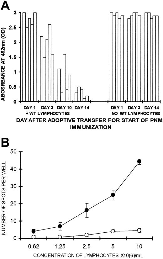 Figure 4. Kinetics of tolerance induction and ELISPOT in tolerized mice.(A) Production of anti-Gal in KO recipients of 20 × 106 lymphocytes that include memory anti-Gal B cells and 2 × 106 WT lymphocytes or no WT lymphocytes. The mice received the first of 2 PKM immunizations on days 1, 3, 10, or 14 after adoptive transfer. Anti-Gal was measured in serum samples diluted 1:100 in 5 mice in each group. (B) Analysis of lymphocytes secreting anti-Gal in tolerized or control KO mice, as measured by ELISPOT. Lymphocytes were obtained from KO recipients of 20 × 106 lymphocytes from PKM-immunized mice and 2 × 106 WT lymphocytes (○) or no WT lymphocytes (•). The mice were immunized with PKM on days 14 and 21 after adoptive transfer. ELISPOT assayed on day 28. Data shown are means ± SE (n = 5). Statistical analysis by Student t test indicated significant differences (P < .05) between the 2 groups at all lymphocyte concentrations.